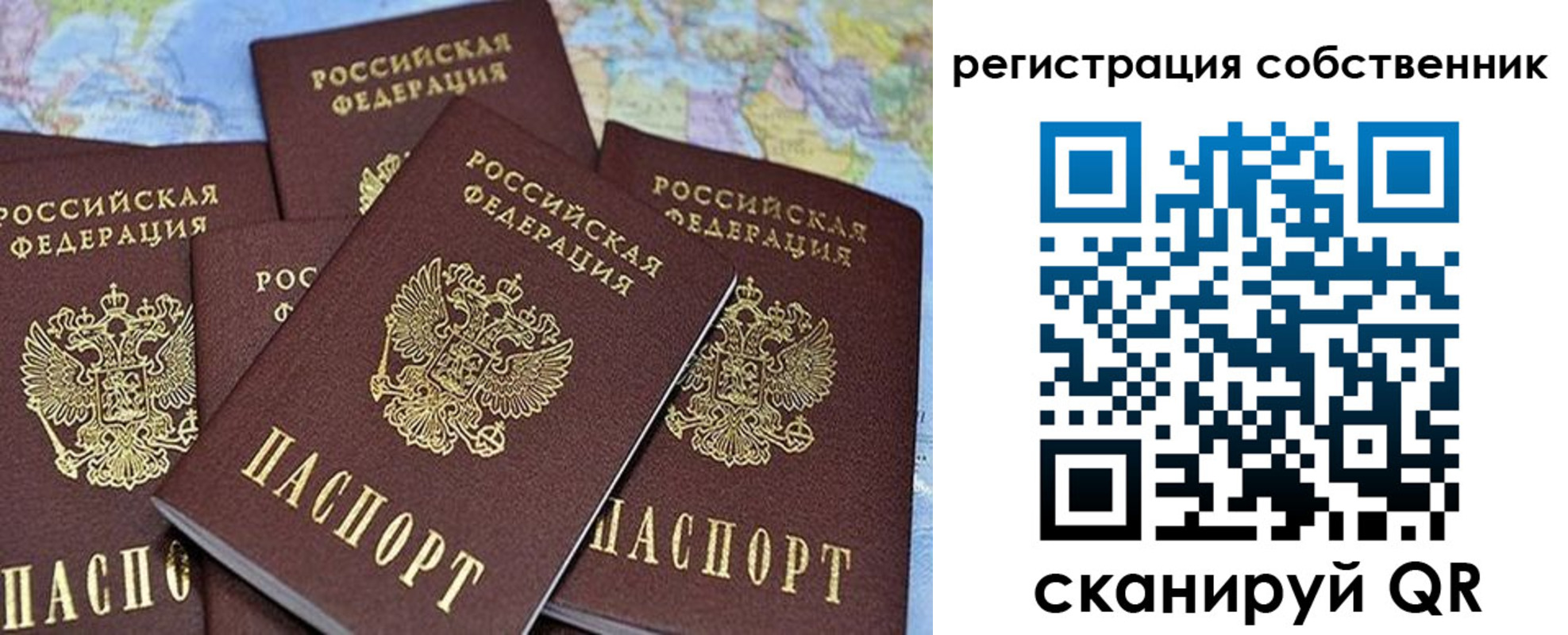 прописка для школы в Богородске